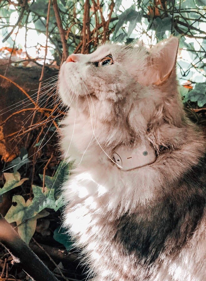 Girafus Pro-Track-tor - Ultra-Lightweight Cat Finder (ONLY 0.28oz) - No Monthly Fees - 1600ft Range RF Tracker - Works Where GPS Fails - Find Hidden Cats Anywhere - Image 1